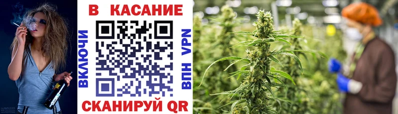 Продажа наркотиков Новосибирск Канабис Галлюциногенные грибы ГАШИШ