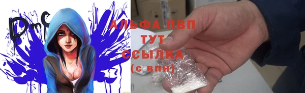 стафф Богородицк