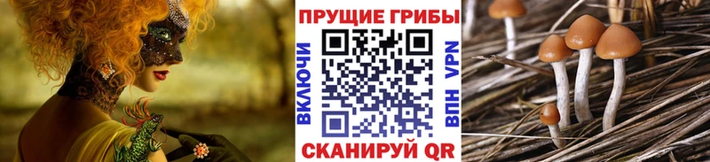 Псилоцибиновые грибы Magic Shrooms  блэк спрут ONION  Новосибирск 