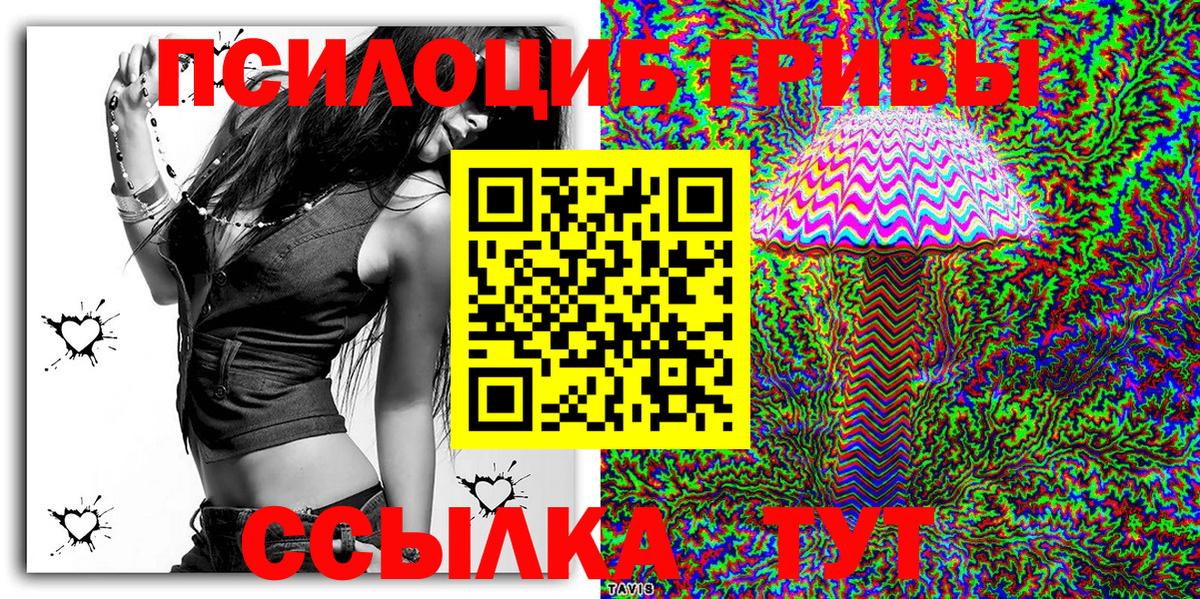 Псилоцибиновые грибы мицелий  где можно купить   Новосибирск 