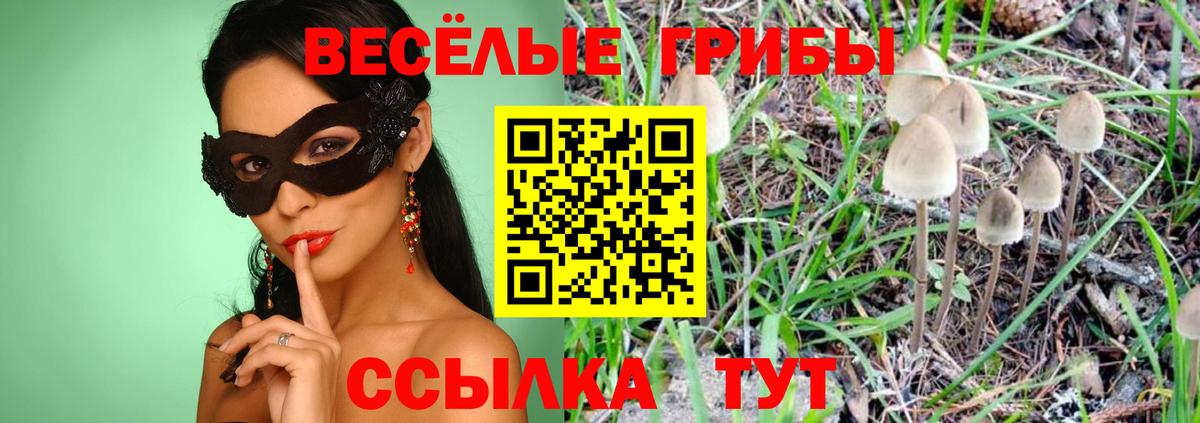 Галлюциногенные грибы GOLDEN TEACHER Новосибирск