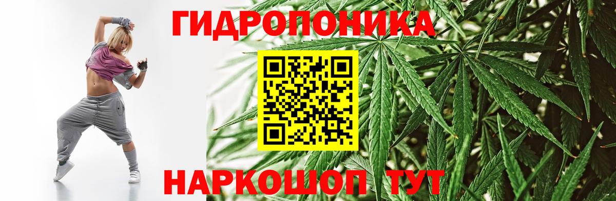 Каннабис семена  Вход с VPN  Марихуана семена  Бошки Шишки OG Kush  Новосибирск 